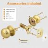 imageProbrico Interior Door Knob for Hallway Black Door Knobs Closet Door Knob Passage Door Knob with Round Ball Knob 6 PackBrushed Brass