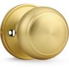 Brushed Brass