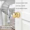 imageProbrico HallCloset Door Knobs in Matte Black Finish Interior Round Passage Door Knobs NonLocking Door Handles3 PackPolished Brass