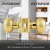 imageProbrico HallCloset Door Knobs in Matte Black Finish Interior Round Passage Door Knobs NonLocking Door Handles3 PackPolished Brass